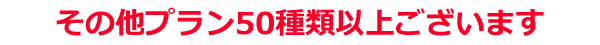 その他プラン50種類以上ございます