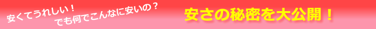 安さの秘密を大公開!